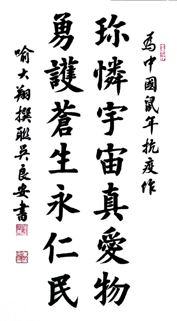 珍怜宇宙真爱物 勇护苍生永仁民(楷书)