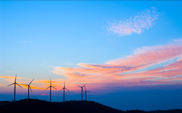 山还在山上今日苍南