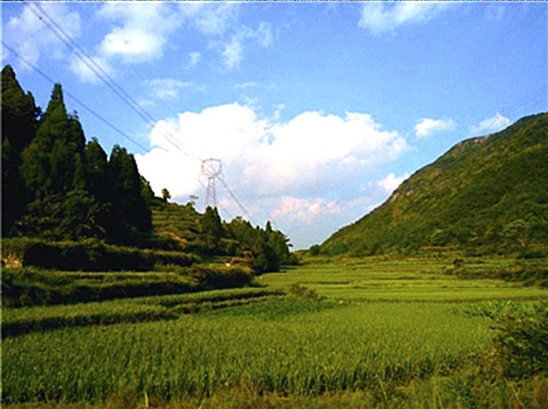 永嘉乌牛西岙村