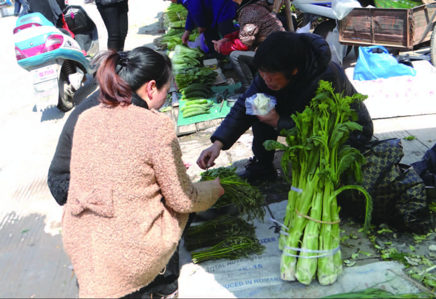 在头陀镇的集市上,几位村民在卖野菜,有蕨菜,水芹菜,荠菜等,前来购买