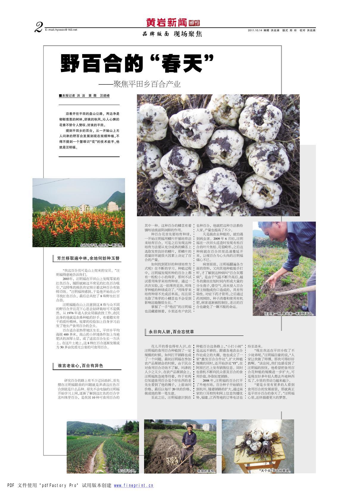 2版:品牌版面现场聚焦