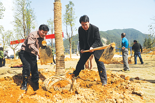 又是一年植树时