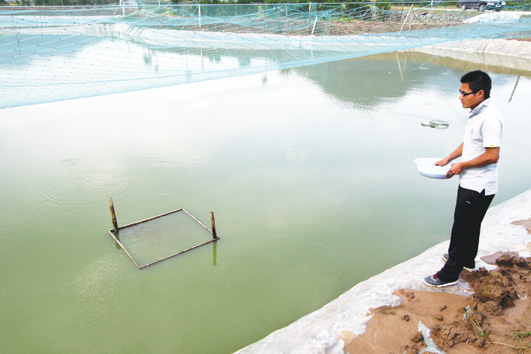 我的泥鳅养殖场露天而建，沉入水里的饲料无法得知