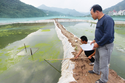 我的泥鳅养殖场露天而建，沉入水里的饲料无法得知