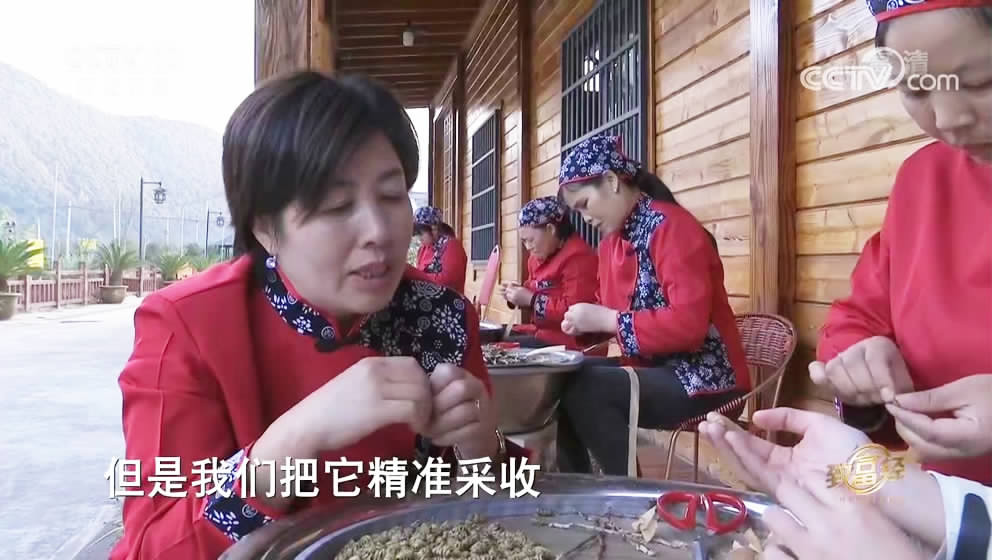 致富经致富经_致富好项目_致富网