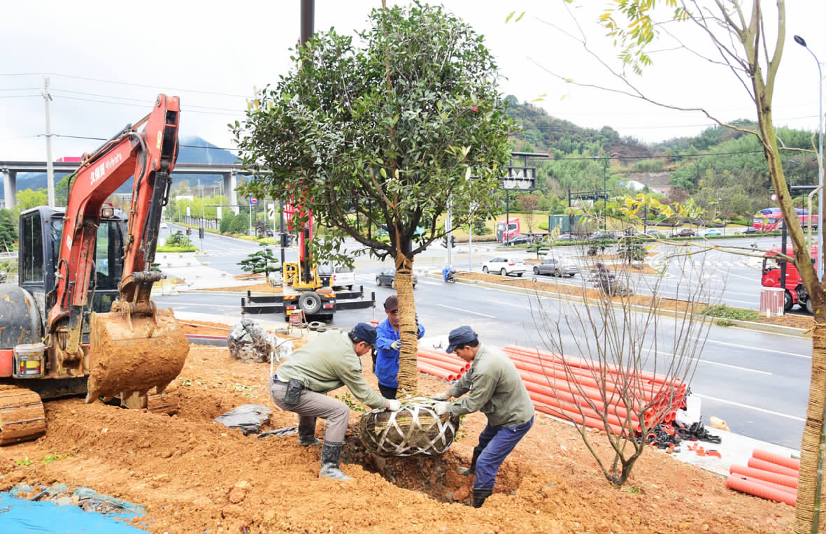 丰满区住建局全面推进春季绿化补植工作