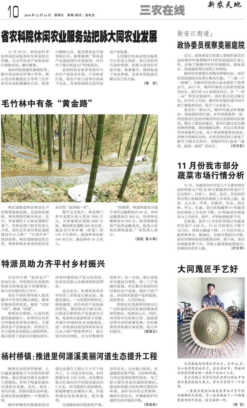 第十版：三农在线