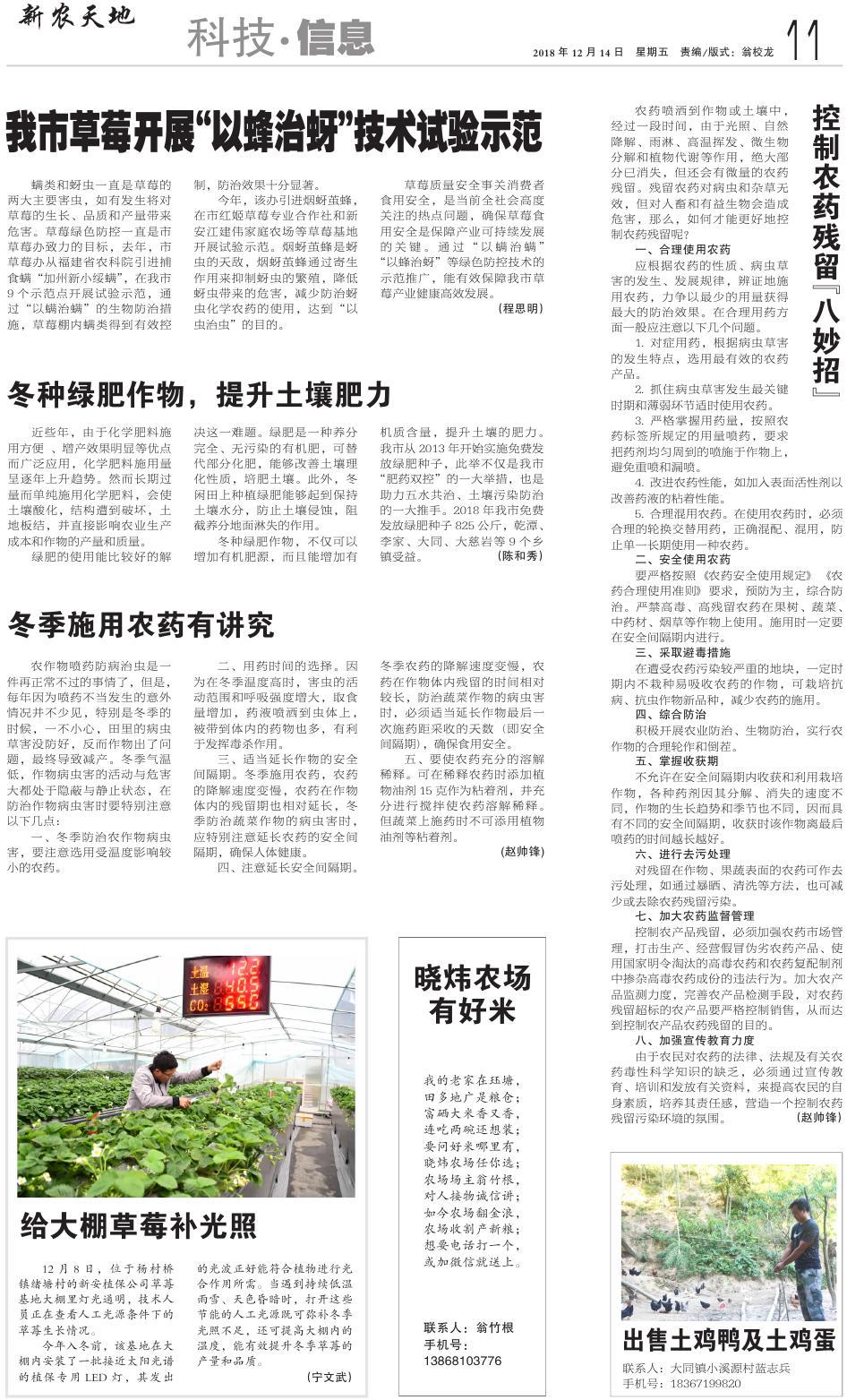 第十一版：科技·信息