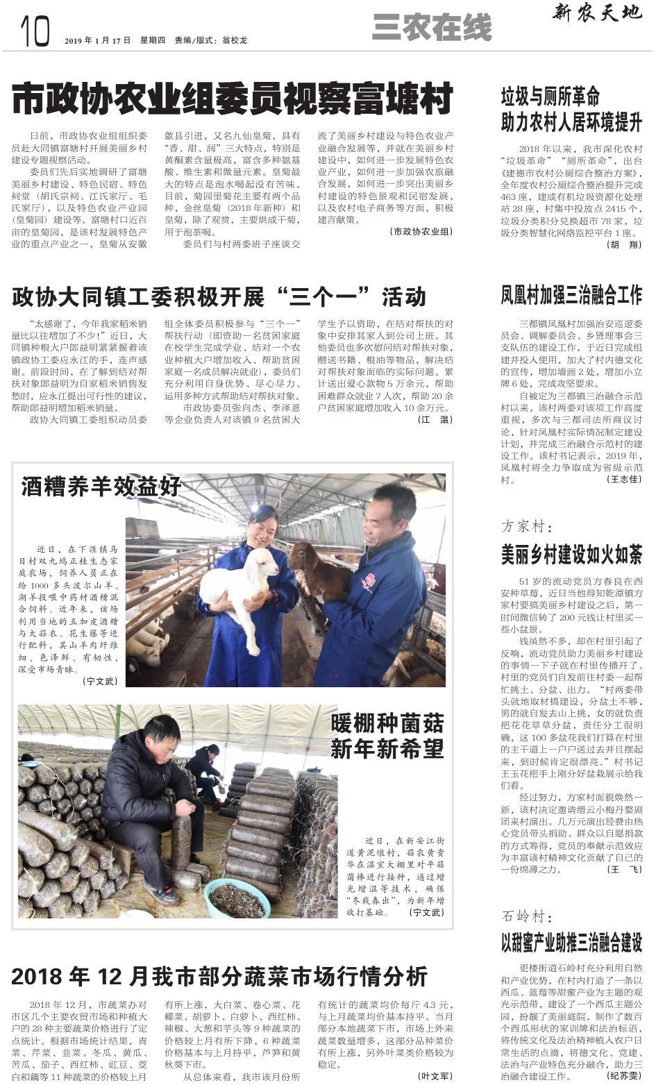 第十版：三农在线