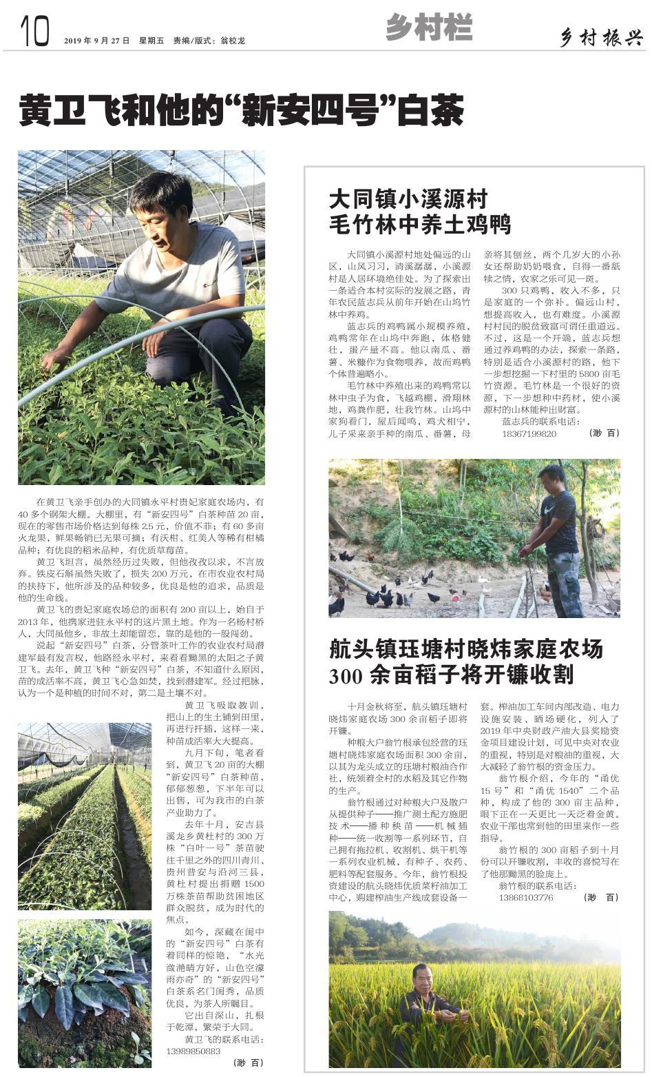 第十版：乡村栏