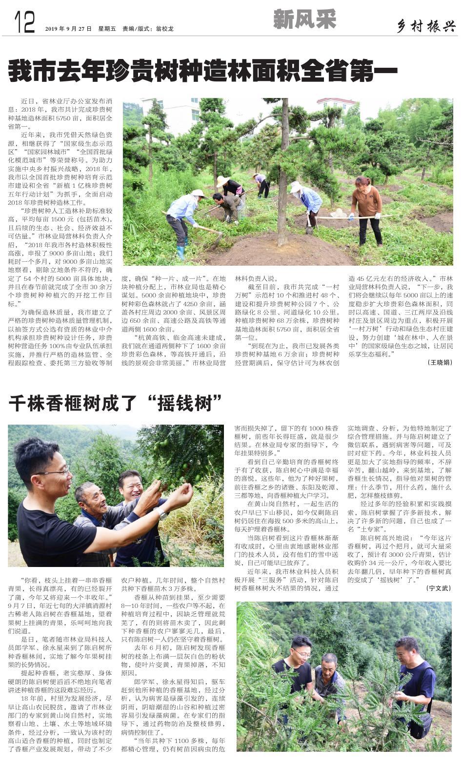 第十二版：新风采