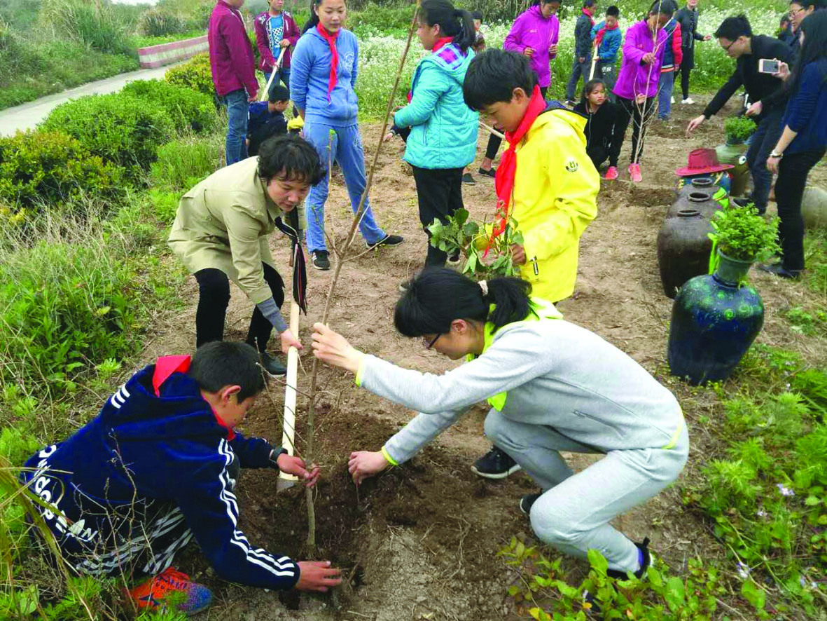 多年来,翁丽芬先后被评为区十佳师德标兵,台州市十大杰出青年,浙江省