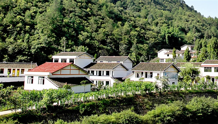 记者  高红波     昨天上午,四川省青川县金子山乡党委副书记