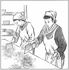 剁配果料