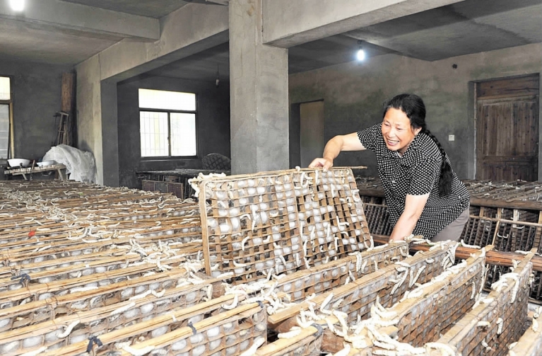 春蚕丝丝农家忙