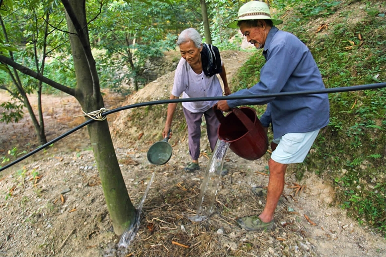 担水润农园抗旱见精神