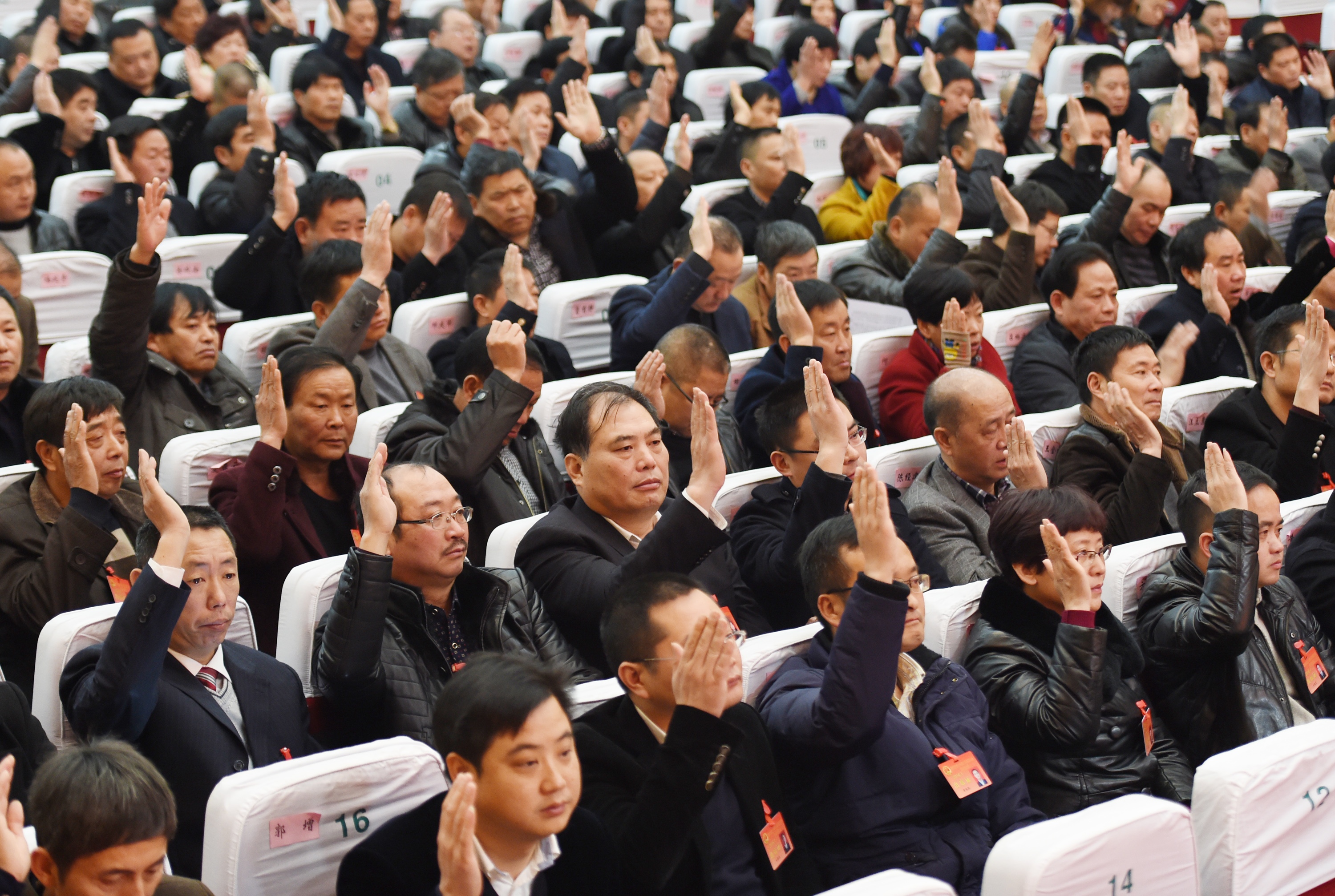 中华人民共和国全国人民代表大会和地方各级人民代表大会代表法摘录