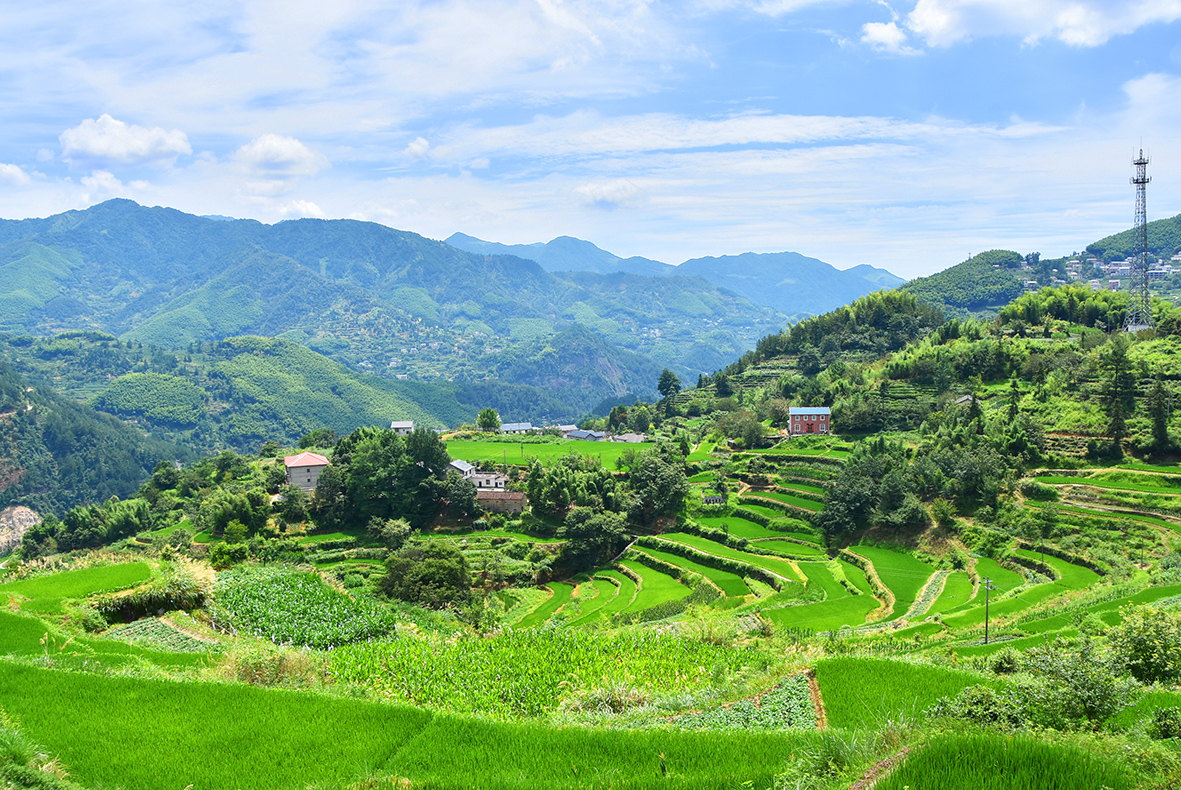 五星村承办的五星村"烧铜锅"乡村旅游节在龙岗镇五星村广场举行,以铜