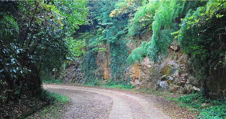 有些小雨的山路,更加幽静.