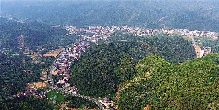 美丽村落之板桥镇桃源村--今日临安