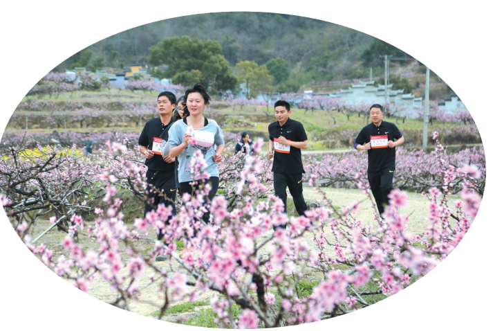 胡陈"桃花源里"走出乡村振兴新路径