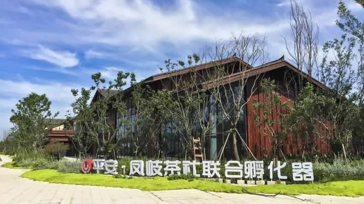 "凤岐模式"的名称来自于凤岐茶社,它诞生在山东,却在移师桐乡乌镇之后