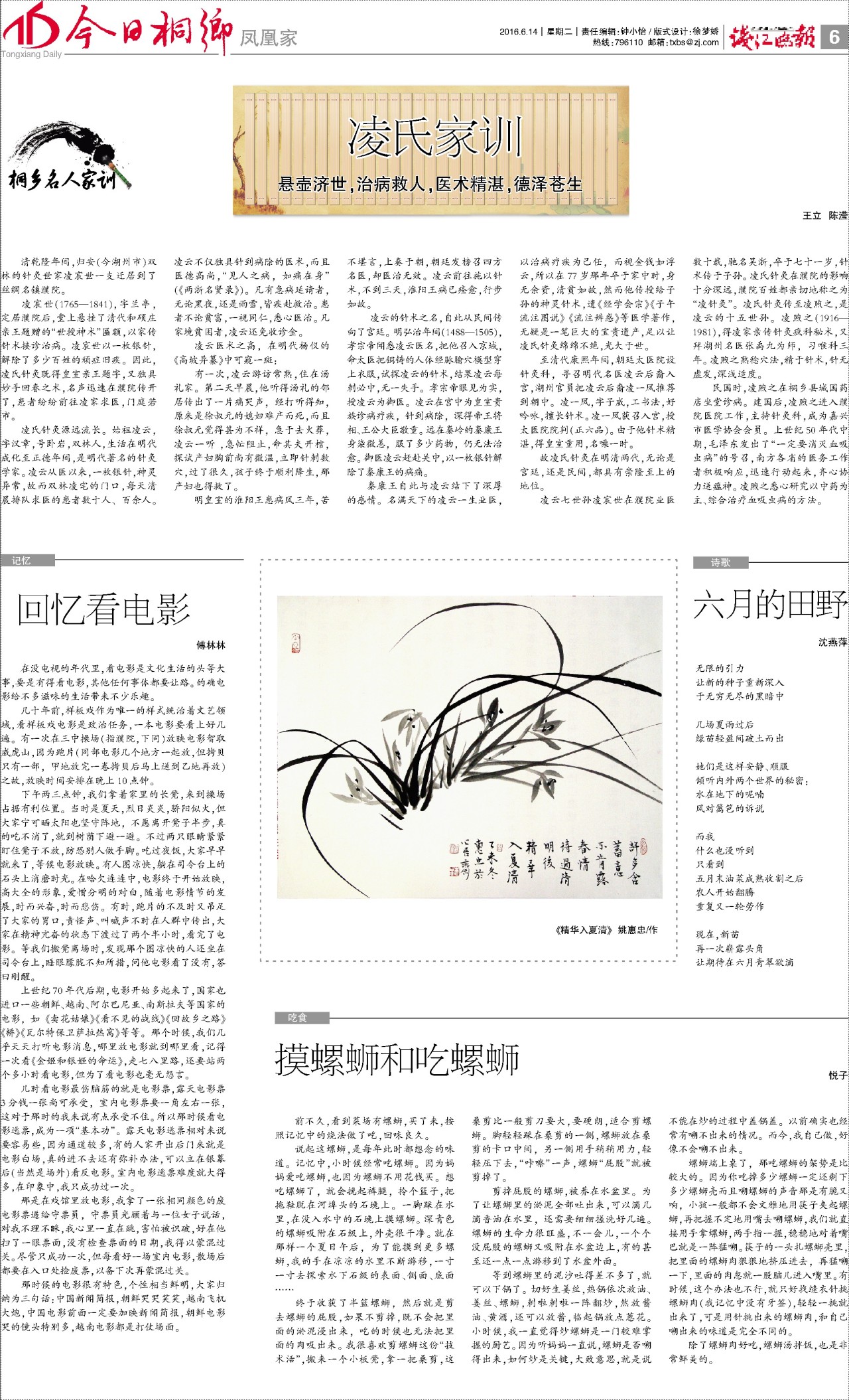 第六版：凤凰家