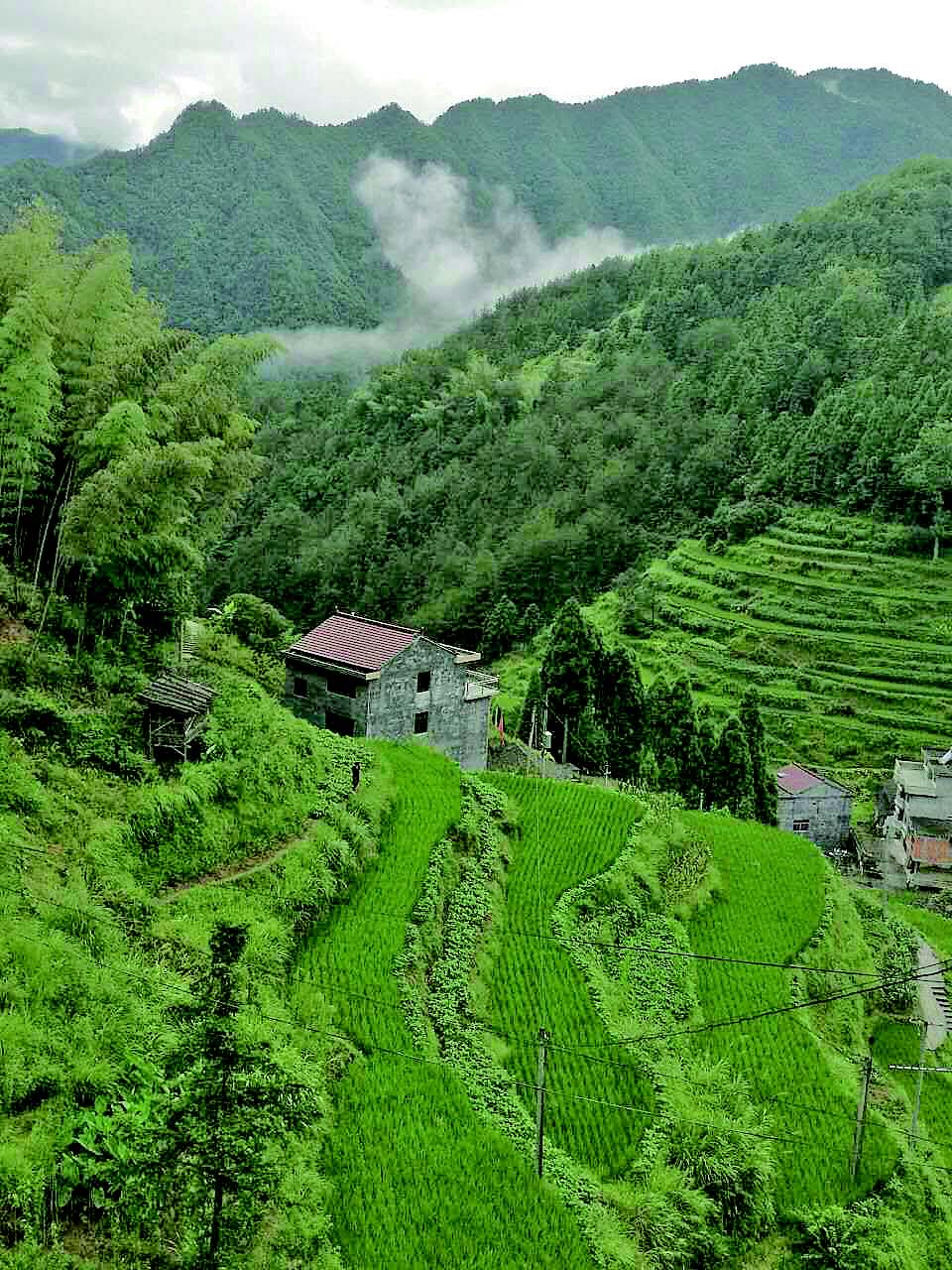 雷付:知足常乐幸福村