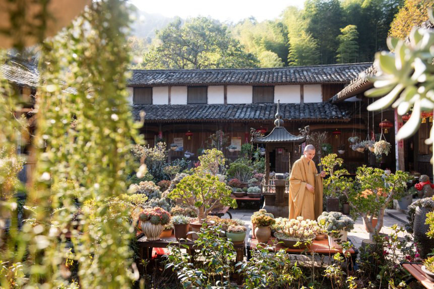 禅房花木深