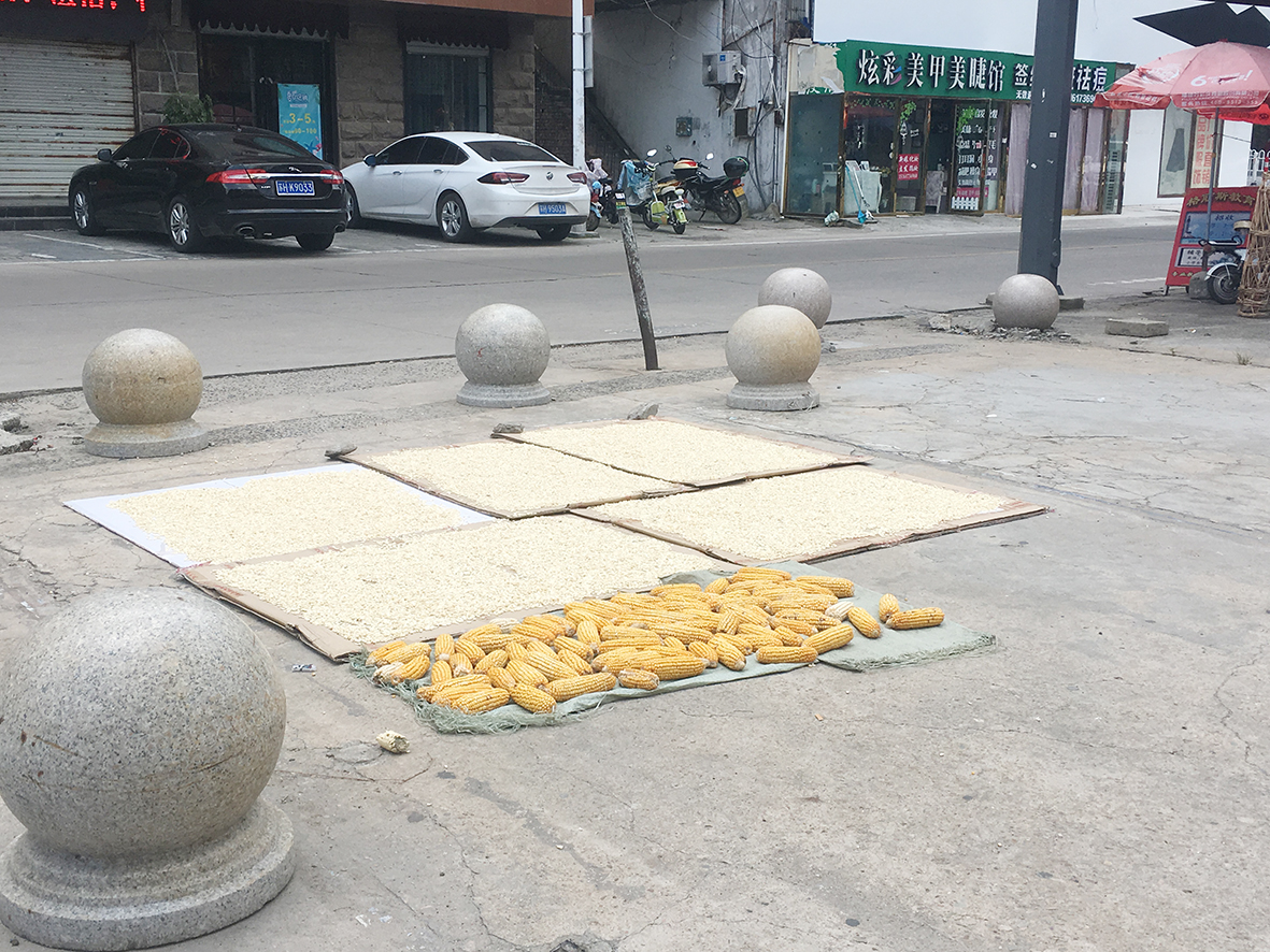 在涟漪东路,有居民将玉米和谷物晾晒在马路边,不仅影响市容还阻碍交通