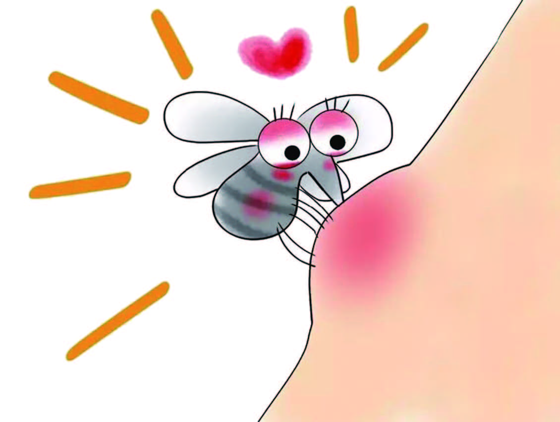胰岛素可增强蚊子对黄病毒的免疫力
