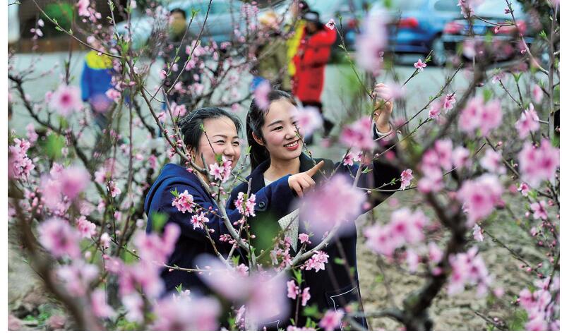 桃花已吐艳 桃花节七大景点陆续迎客