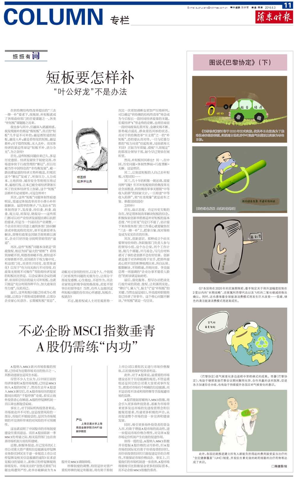 第十一版：专栏