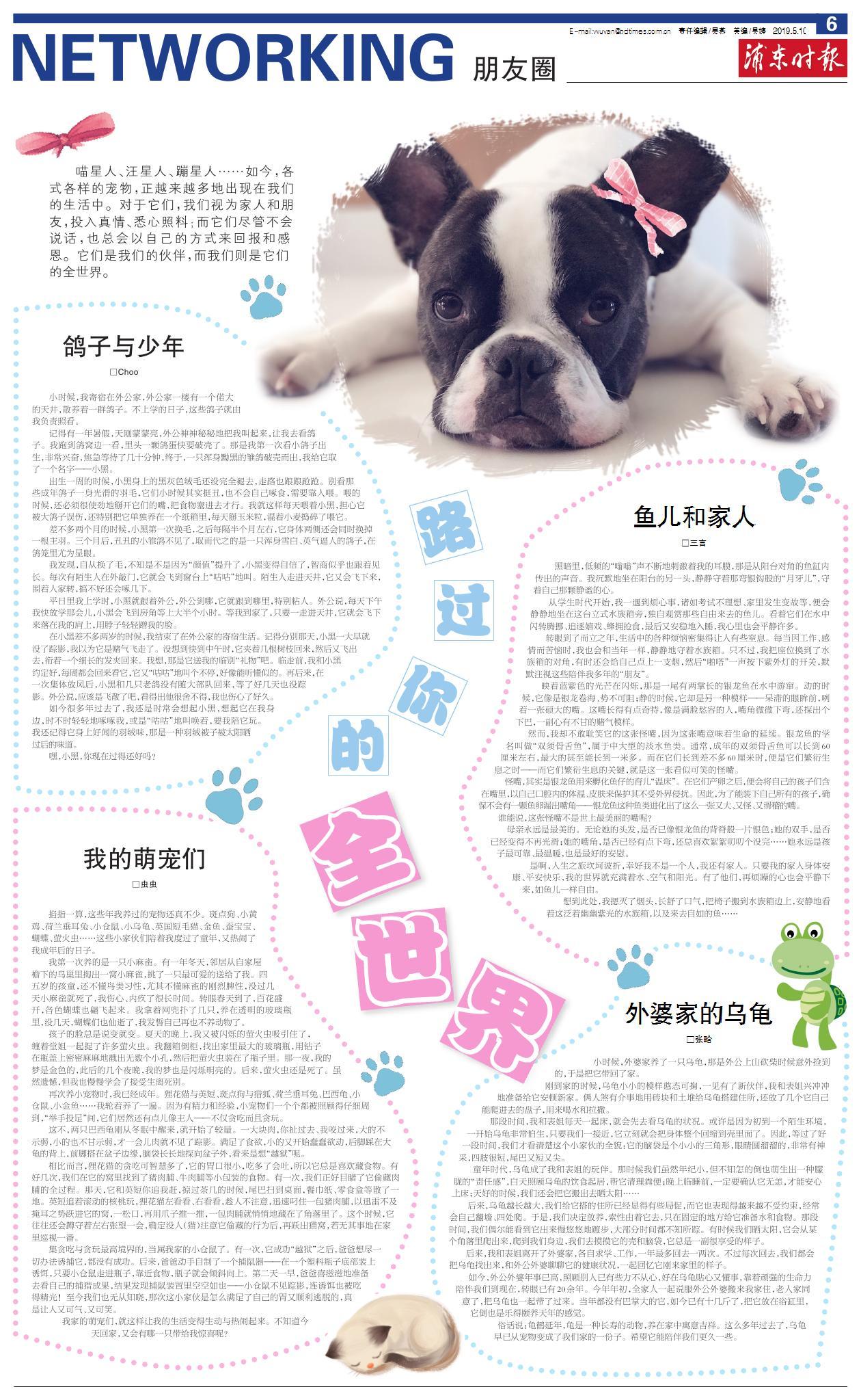第六版：朋友圈