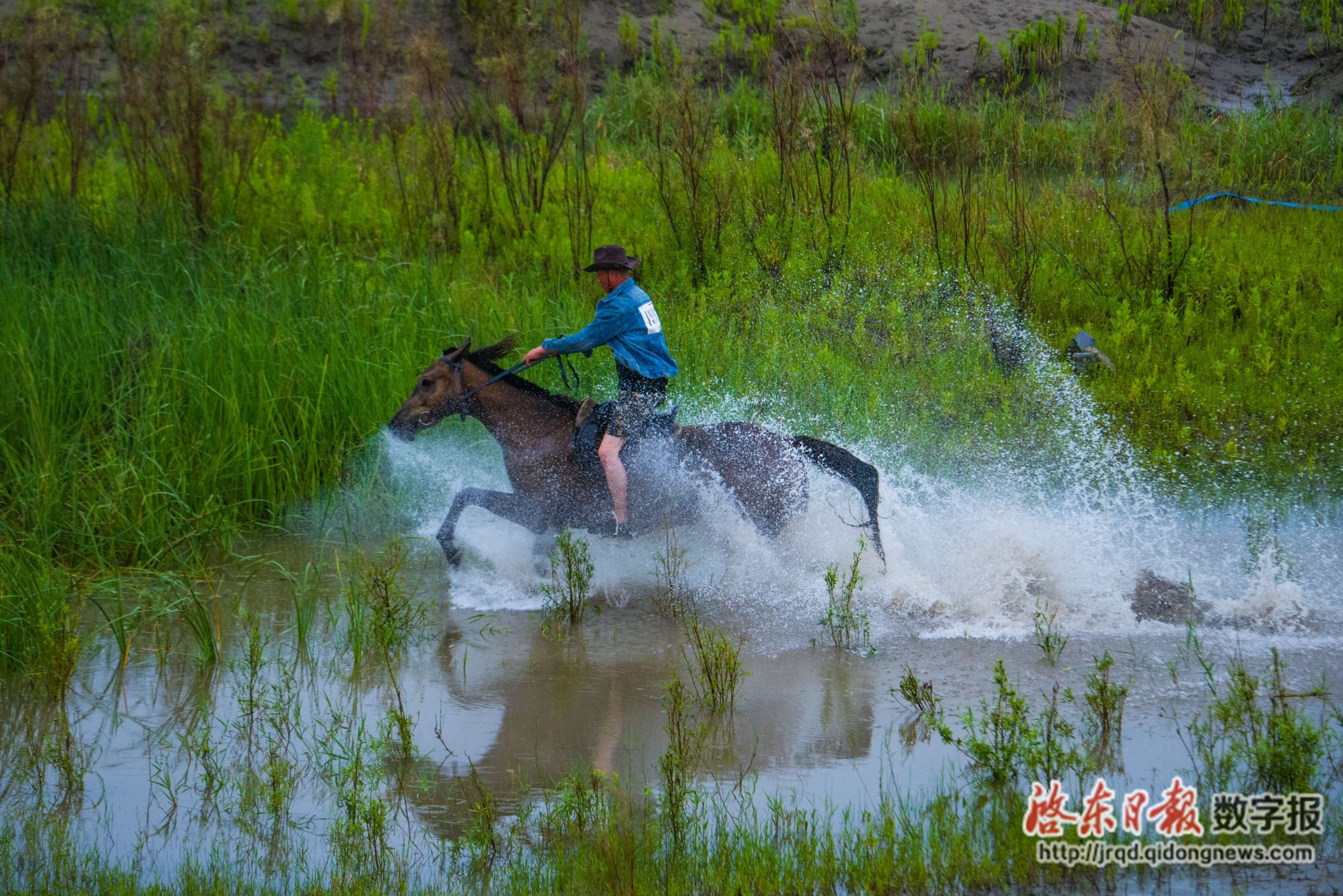 畅游坝上草原----蒙古马繁殖基地（23）-中关村在线摄影论坛