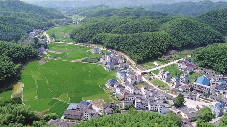 一村一企半世情遂阅