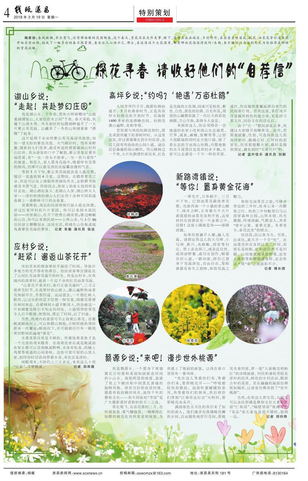 第四版：特别策划