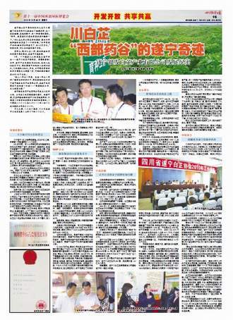 特刊
