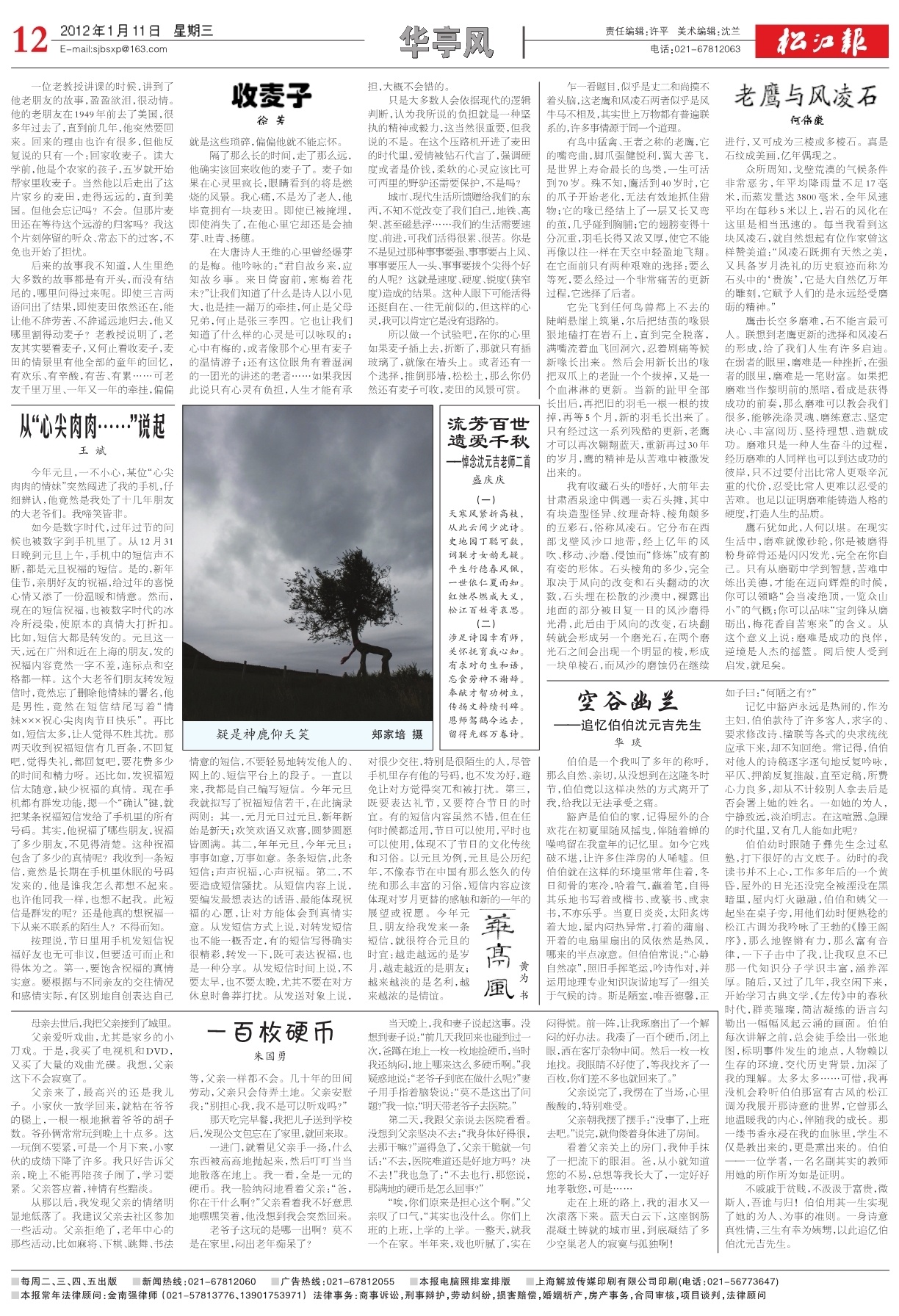 第十二版：华亭风