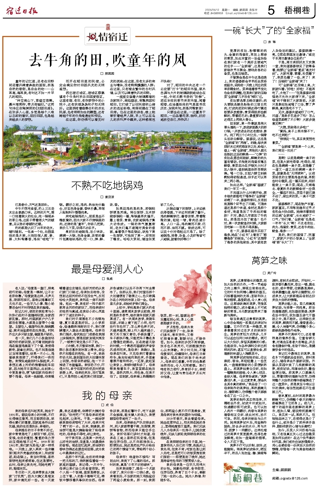 梧桐巷