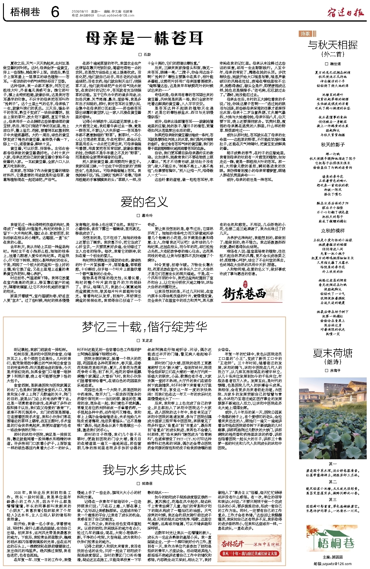 梧桐巷