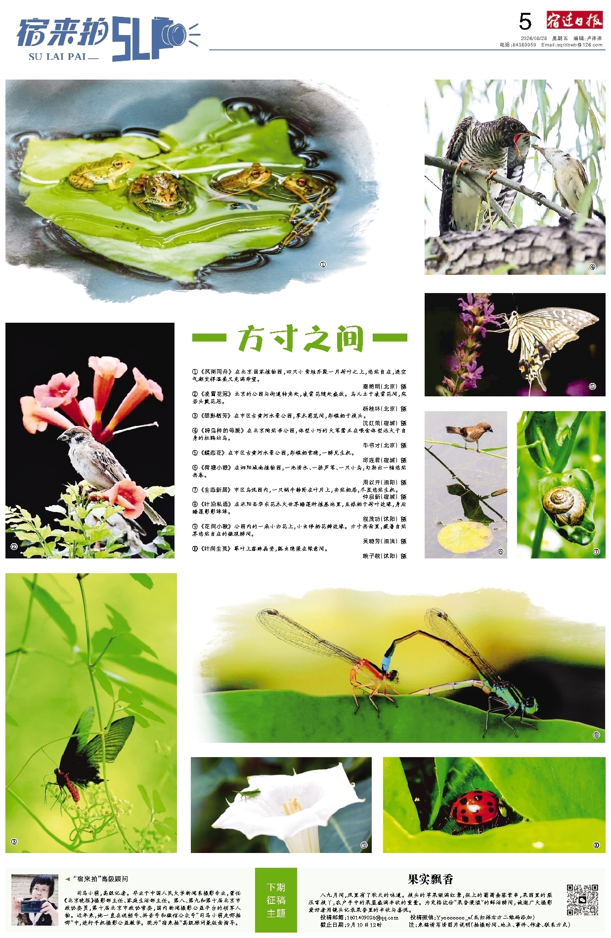 宿来拍
