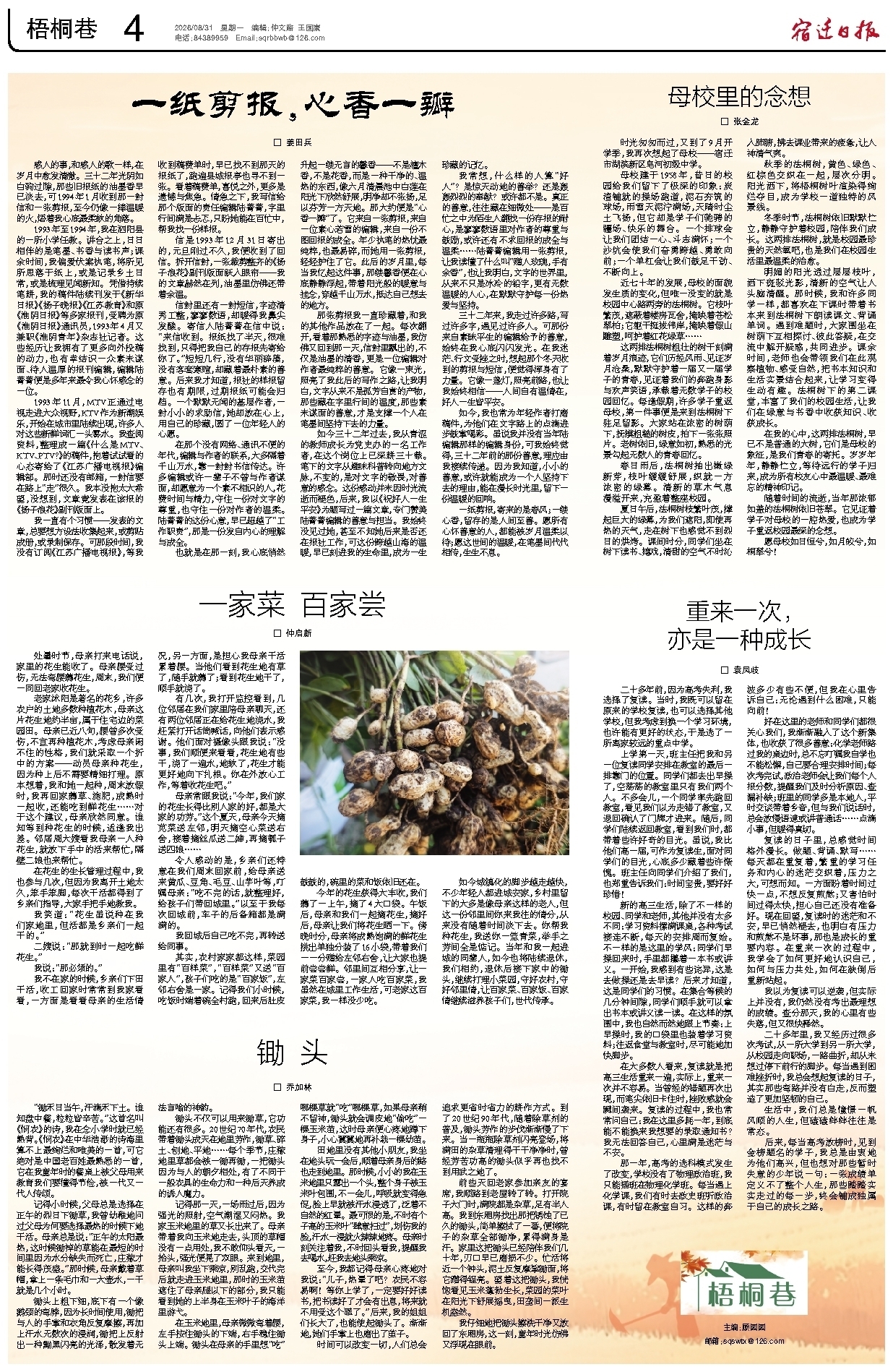 梧桐巷