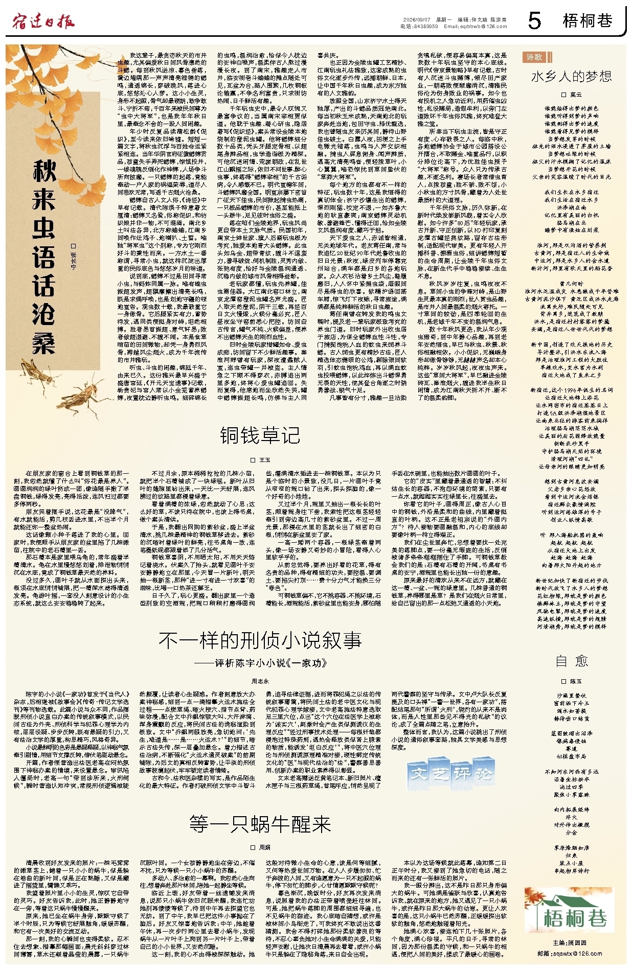 梧桐巷