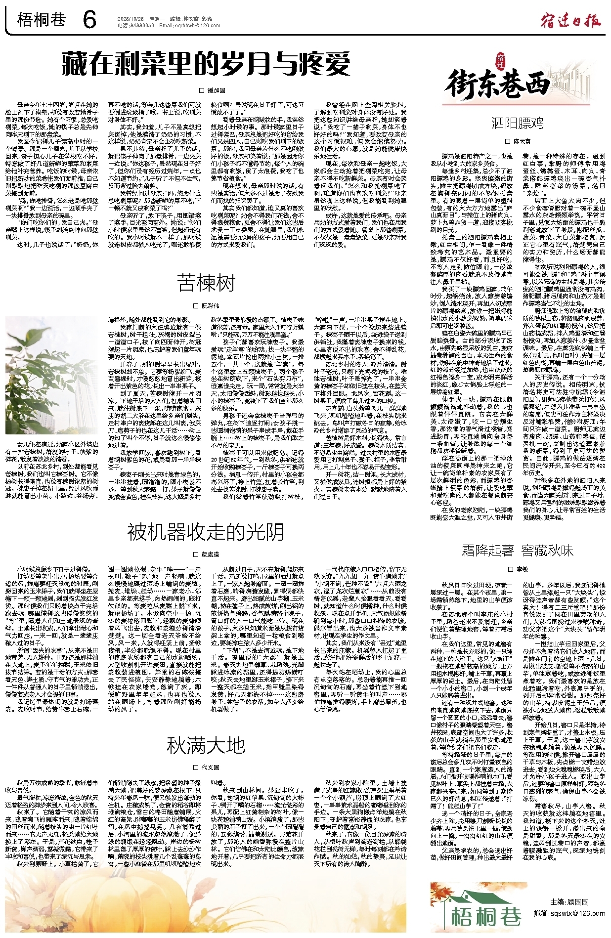 梧桐巷