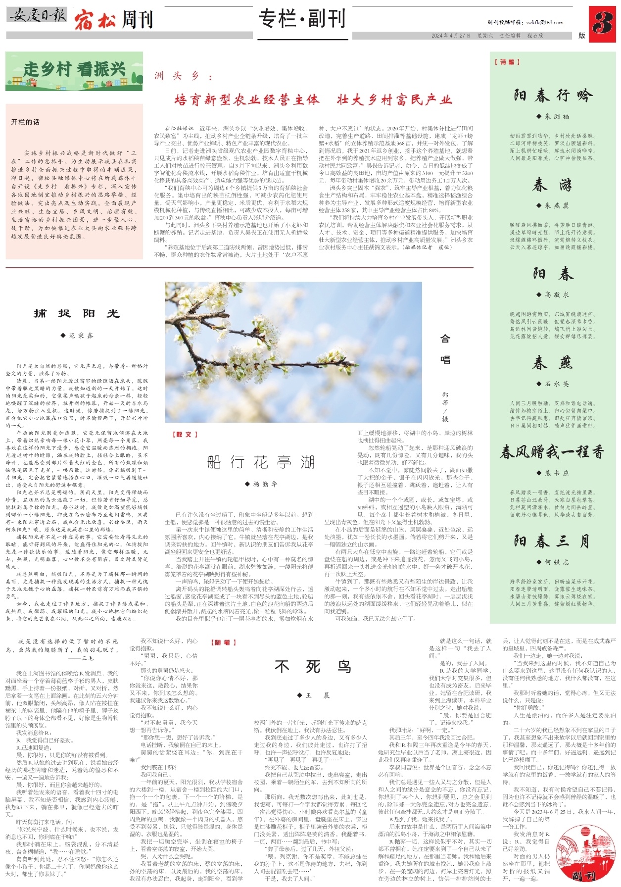 第三版：专栏·副刊