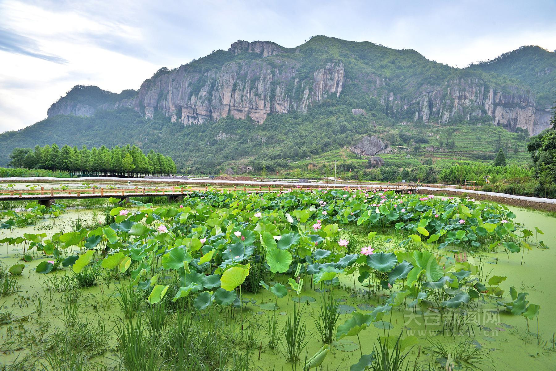 寒岩村:别有天地非人间漫步塔后村,清新的山风拂面而来,甜甜的花果香