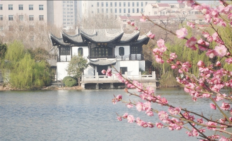 花开燕子楼徐州矿工报