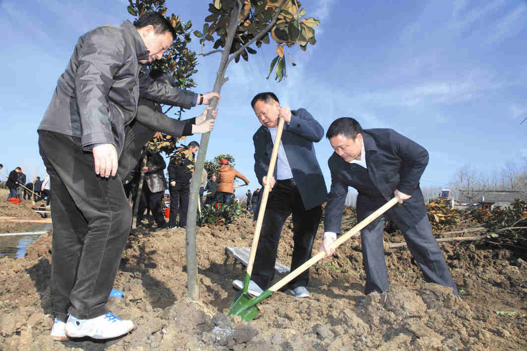 书法家王炳松图片