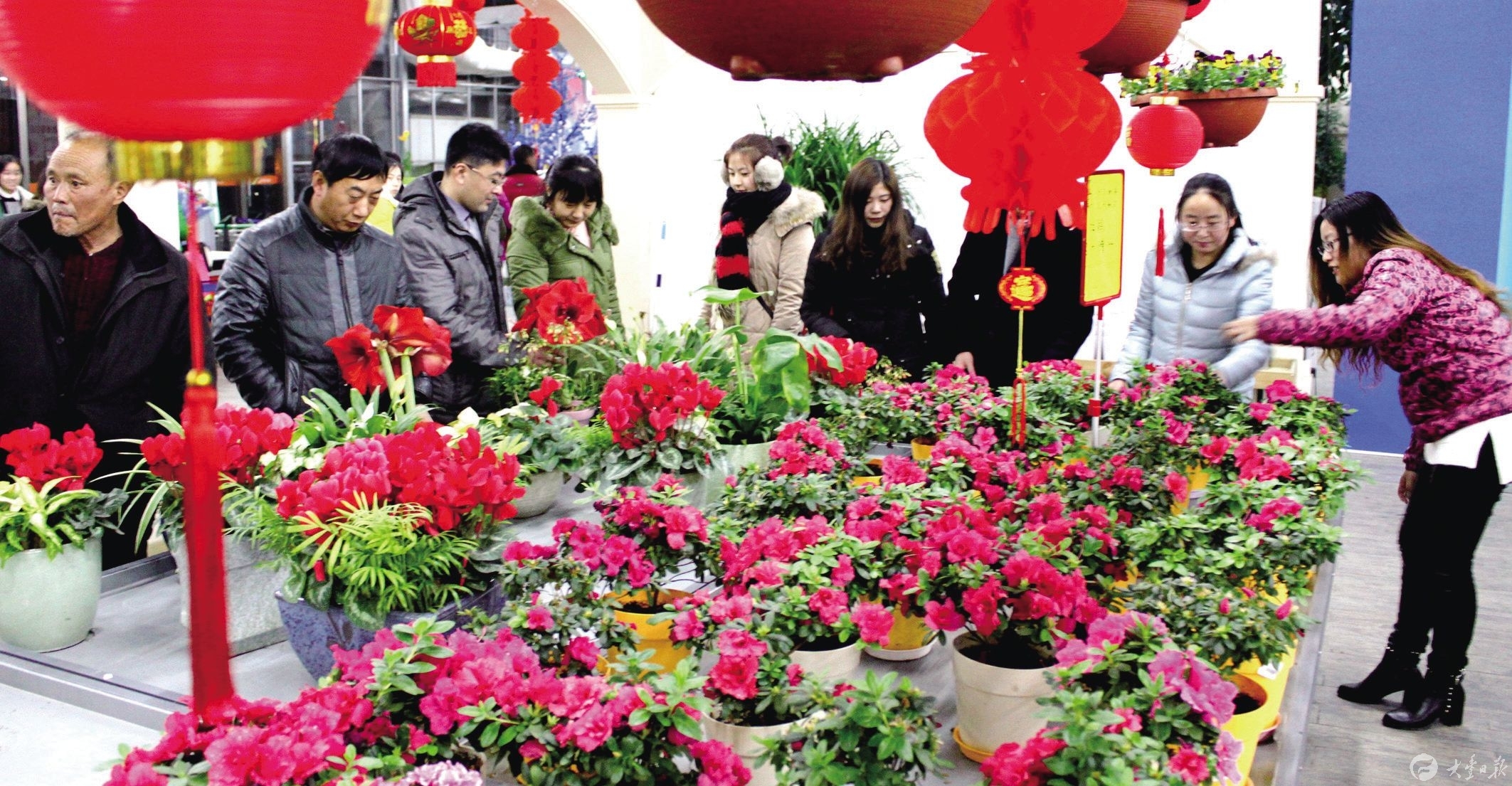 山东省花卉批发市场